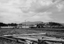 Lungo il binario verso Stabio