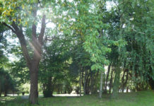 La variante del Parco in seduta CC