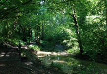 Lungo i sentieri musicali