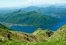 Camosci indeboliti sul Generoso