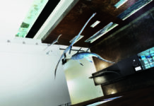 Storia di un animaletto rinato