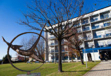 L’ospedale che verrà