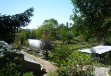 Il vivaio delle rarità