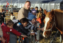 San Martino senza fiera: “una decisione sofferta”