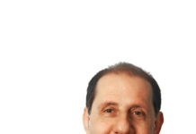 Pellegrini e Frigerio, candidati al CdS