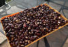 Castagne, a volte ritornano…