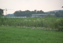 Valera, esame non superato