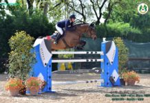 Ippica/ Grande vittoria per la momò Martina Meroni