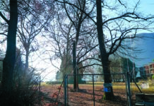 Maroggia, tra sogni e ricordi