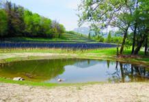 Le rinate bolle della Montagna