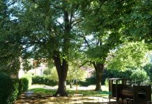 E i giochi dell’Asilo Sud?