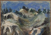 Il valore delle collezioni d’un museo