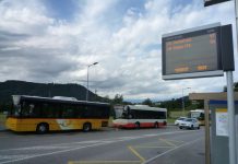 Bus e dintorni