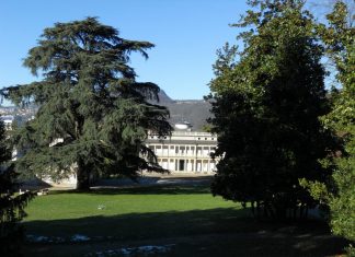 Arriva la cura per il Parco di Villa Argentina