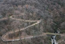 Parco delle Gole: il bosco sarà curato