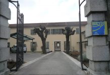 Ecco i prodotti dei giovani