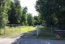 Centrale di biogas, Stabio cerca sinergie