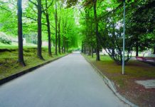 Nel parco aperto di Casvegno