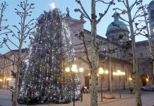 Alberi luminosi e tanti auguri!