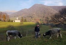 La Porsche è il mio trattore