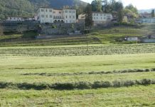 Contadini, terra sempre bassa