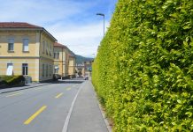 Aria nuova in città