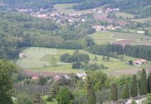 Fauna anfibia di Seseglio sotto la lente