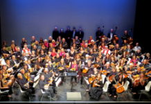 100 sfumature di plettro