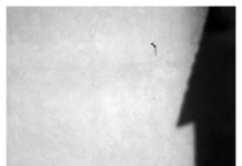 Tra memoria e testimonianza