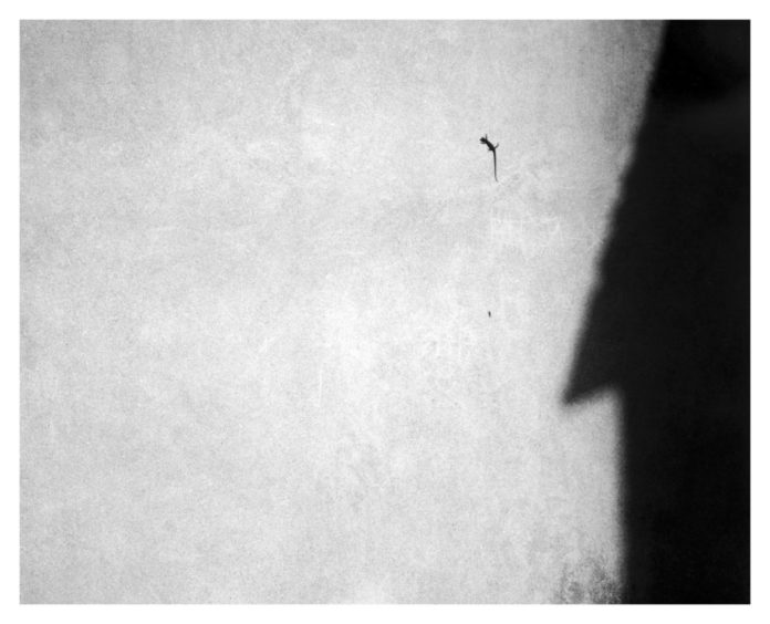 Va-Primo sole -trattata