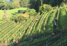 Il lavoro che nobilita il paesaggio