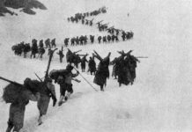 La cultura in tempi di guerra