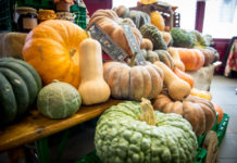 È tempo di Sagra della zucca