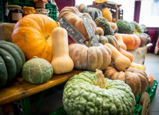 È tempo di Sagra della zucca