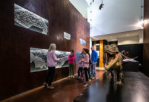 Museo dei fossili, una videoscoperta