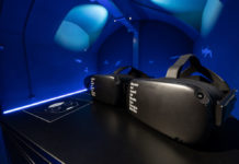 Alla scoperta dei fossili