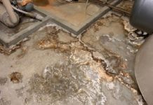 Palapenz: degrado che preoccupa