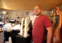 I tori e i cigni di Mattia Polli