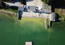 Ci mancava pure l’alga…