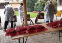 Le caldarroste della speranza