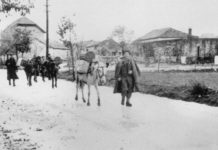 “Online” l’esperienza del medico di Mendrisio con i partigiani