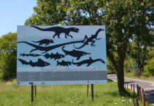 Museo dei fossili, superata l’affluenza del 2019