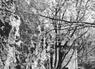 Bocce, attività bloccata anche per la chiusura degli esercizi pubblici