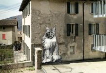 I “gatti” di Rovio diventano arte