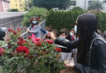 Chiasso,“così anche mio nonno potrà vedere le coccinelle…”