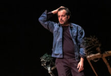 Luci sul Festival di Arzo