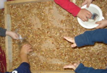 L’inclusione che inizia dalla prima infanzia