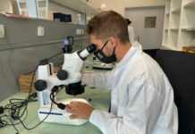 Microbiologia per un’unica salute alla SUPSI di Mendrisio