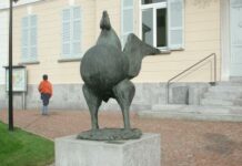 A Balerna il gallo tornerà verso fine gennaio