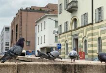 Chiasso fa i conti con debiti e progetti